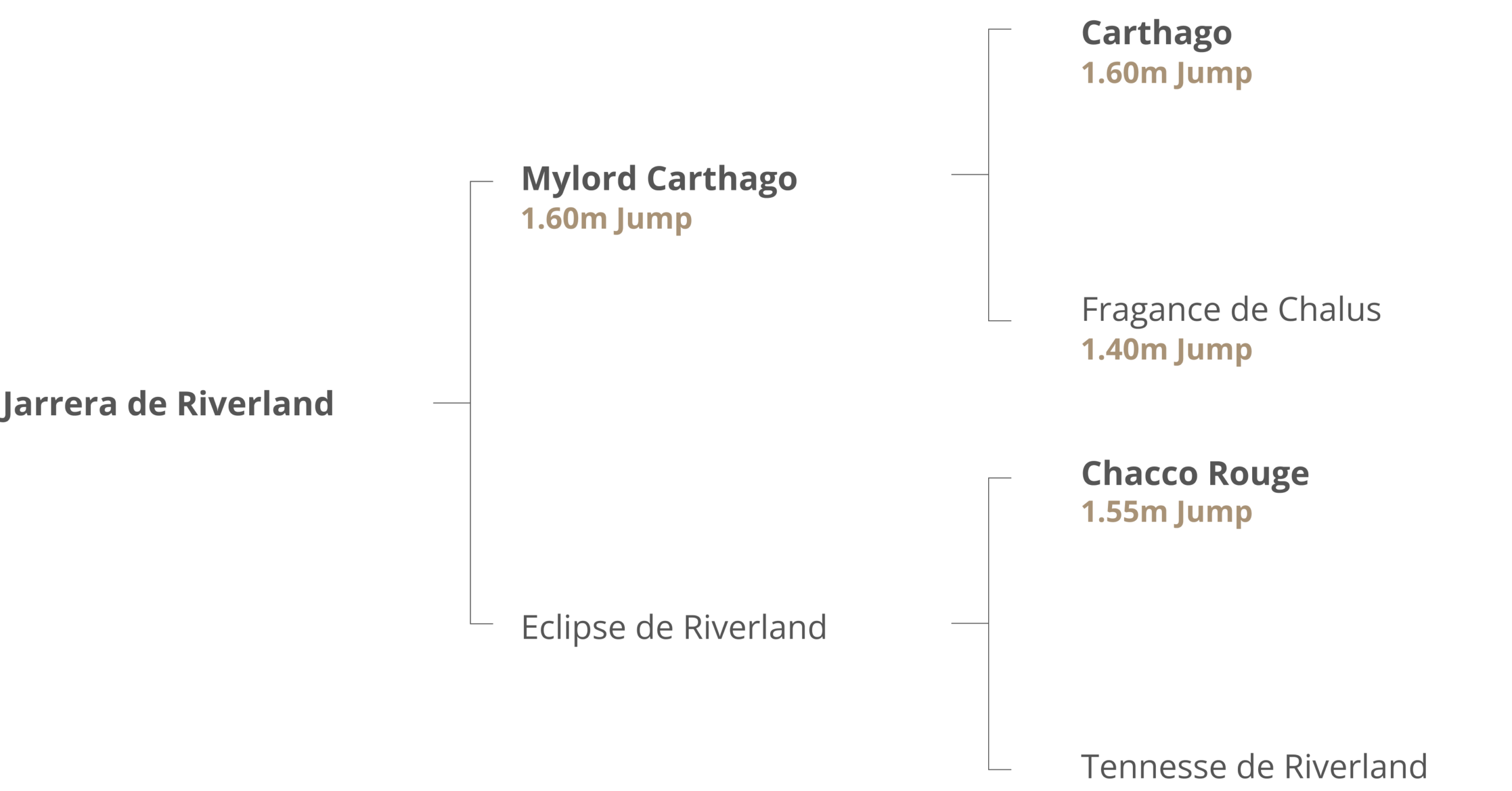 Origines Jarrera de Riverland