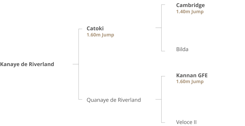 Origines Kanaye de Riverland